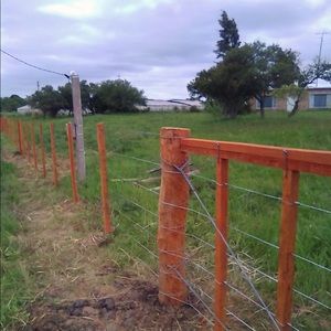 Meet your Posher, Renier